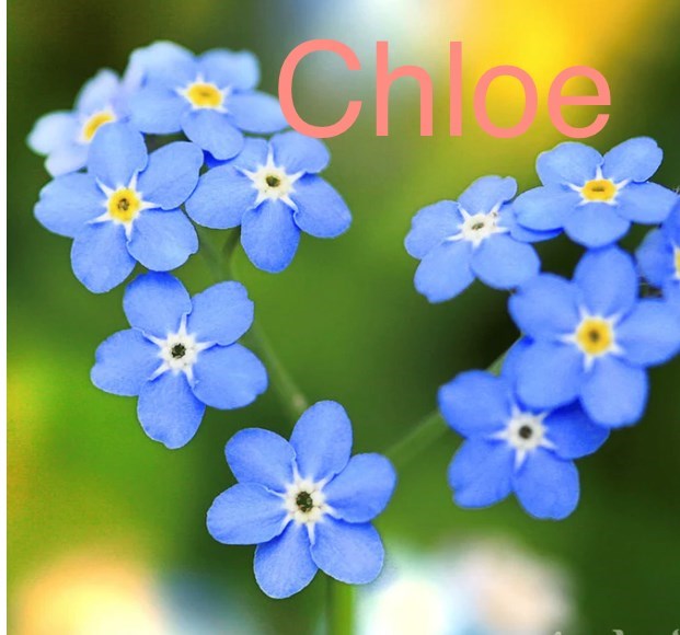 Chloe