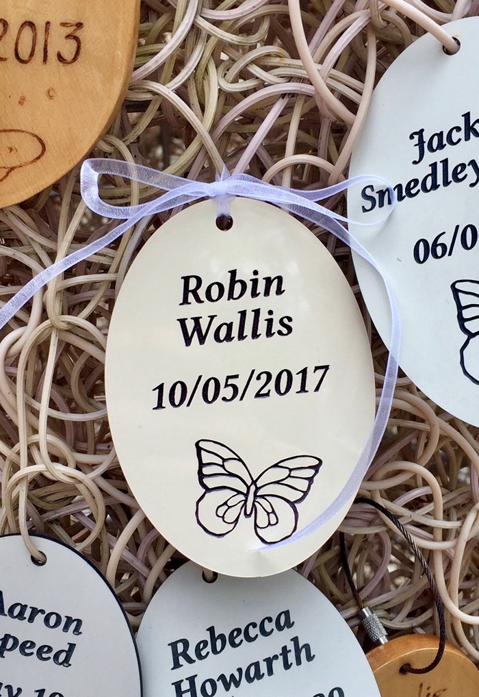 Robin Wallis